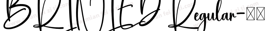 BRINLED Regular字体转换